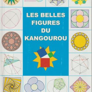 LIVRE - ACTIVITÉS - RAISONNEMENT - Belles figures du Kangourou - Patricia et Bernard Hennequin
